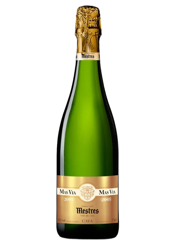 Mas Via 2008