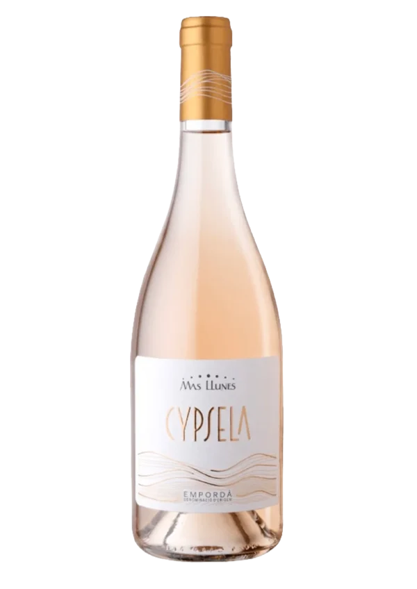 Cypsela