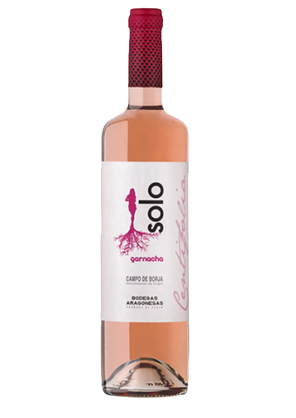 Ampolla de Solo Rosa Centifolia, vi rosat DO Campo de Borja del celler Bodegas Aragonesas